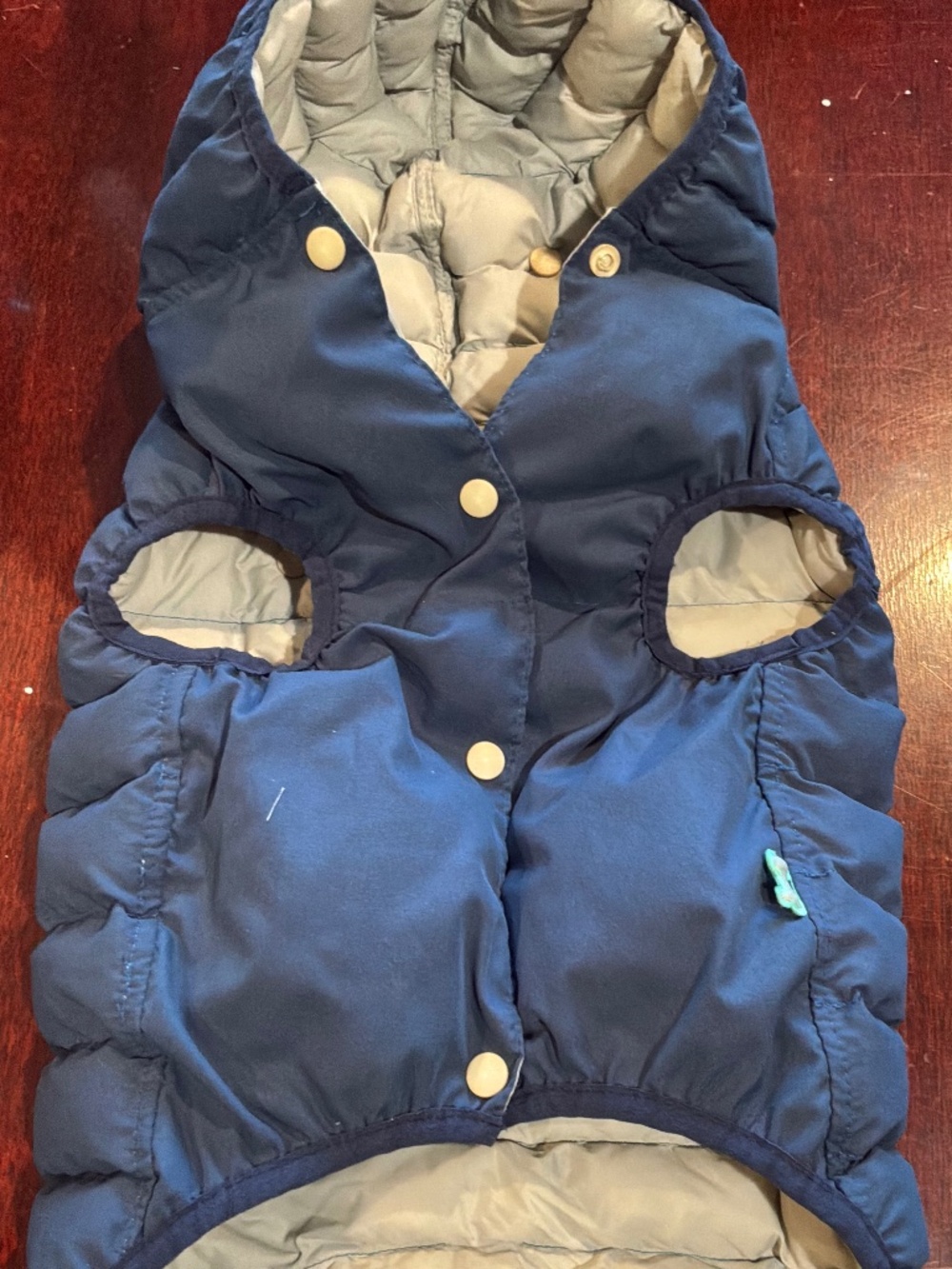 Light Dog Puffer Coat in Blue with Hood Snap Closure - Picture 3 of 6